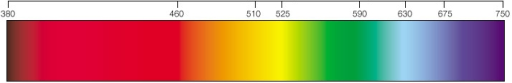 El espectro de la luz visible, con las frecuencias de los 7 colores del arco iris (en THz).